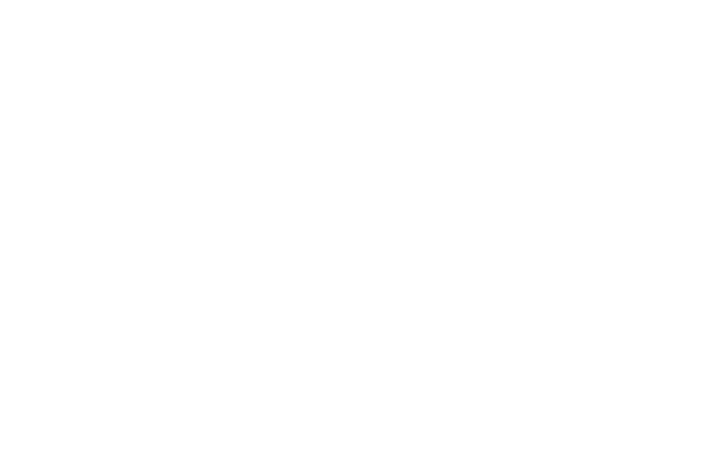 Discipulus Logo